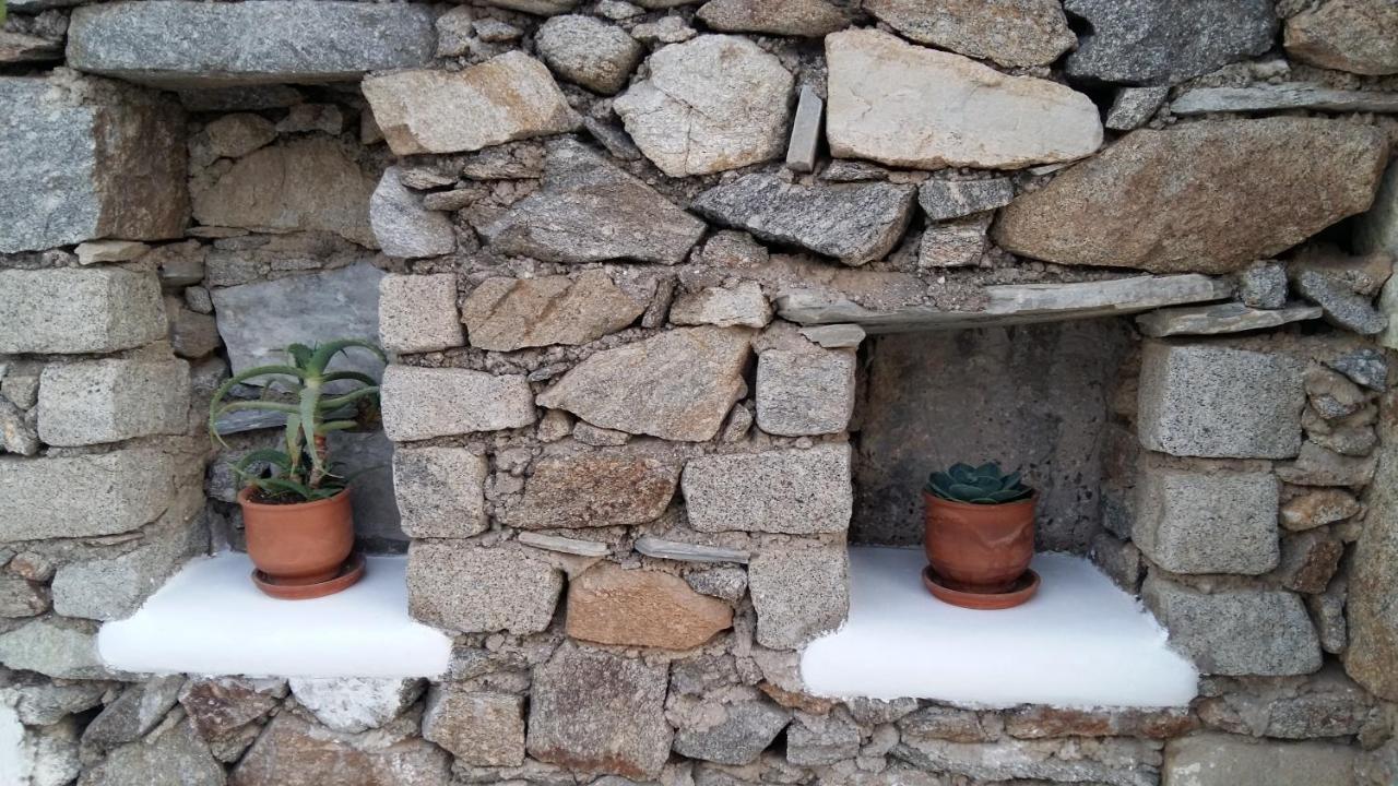 Sunny Guest House New Port Mykonos Túrlosz Kültér fotó